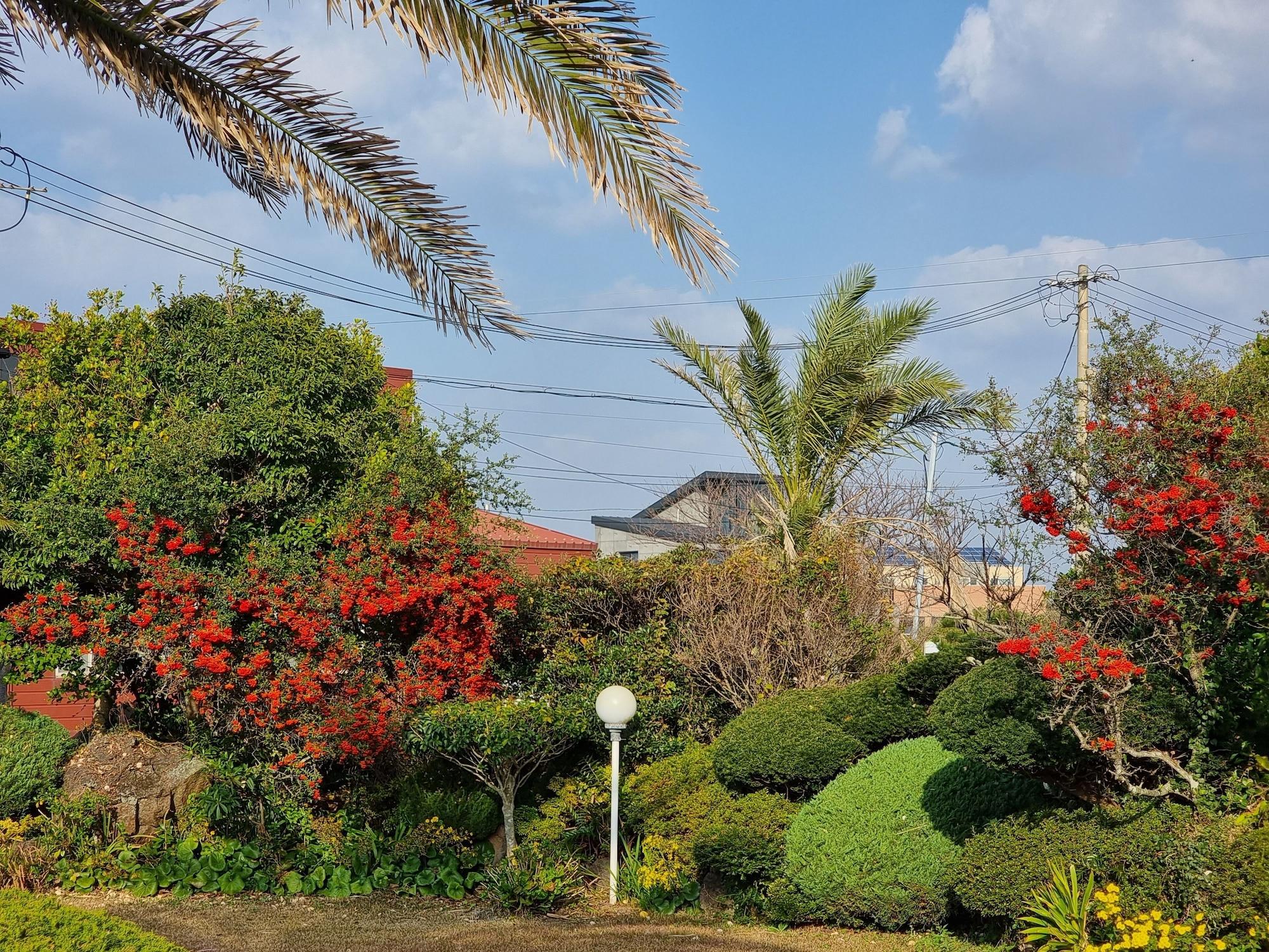 Vista Exterior Jeju Again Olle pension