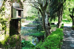 Alojamiento - Craigmhor Lodge & Courtyard