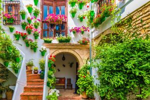 Actividad - Tour guiado por los Patios de Cordoba