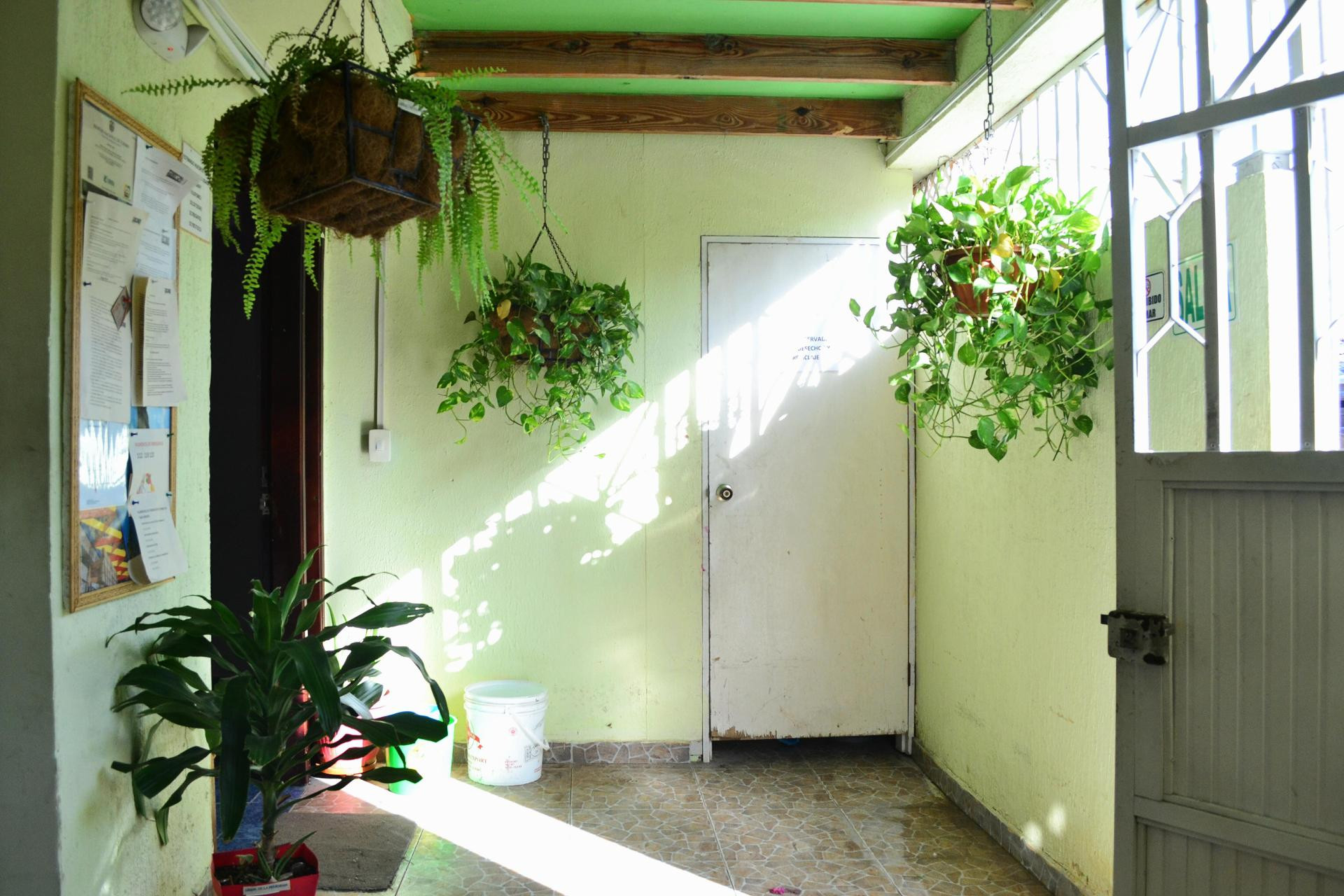 Vista Exterior Hostel Stingray