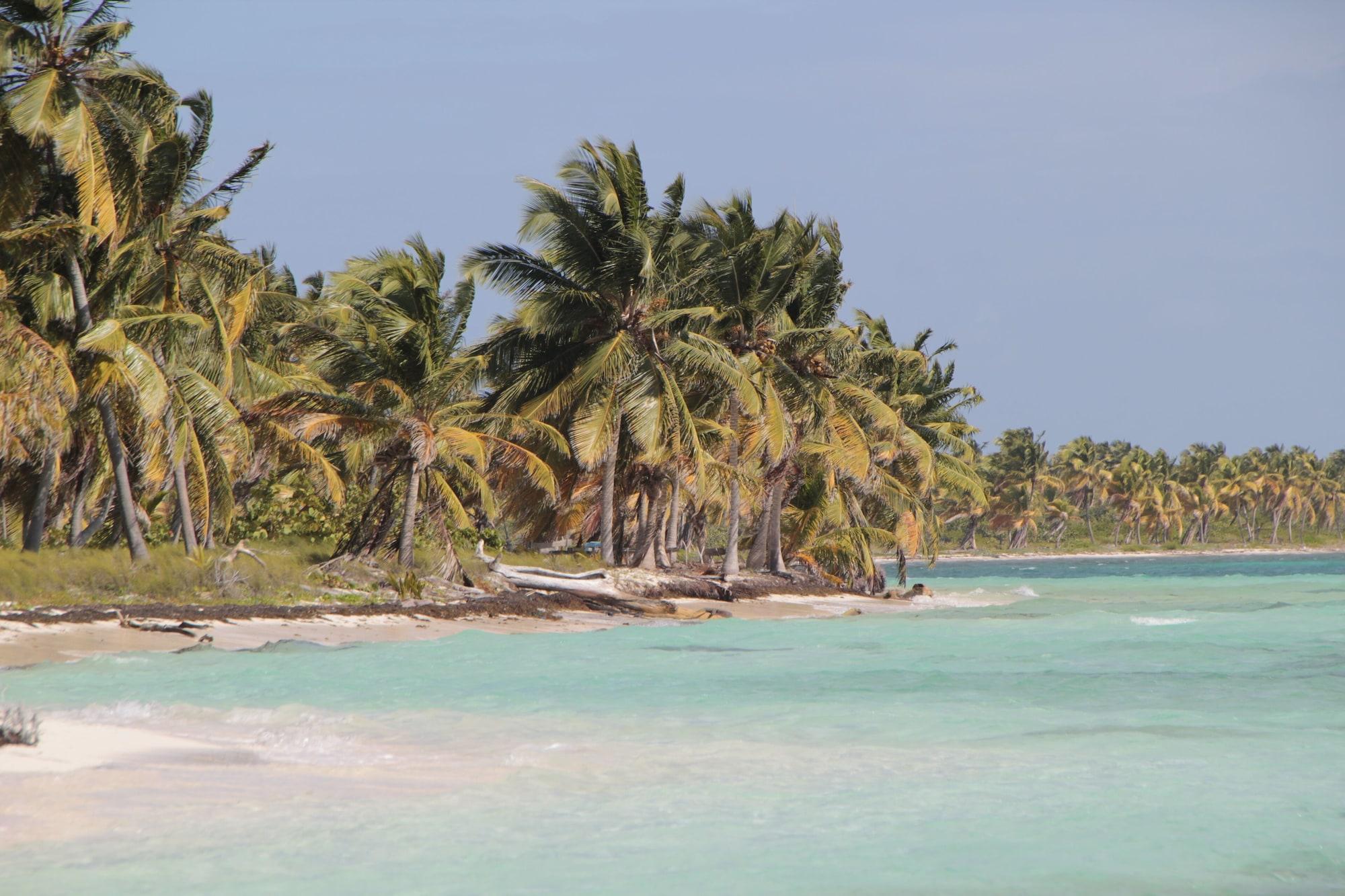 Playa B&B Villa Luna