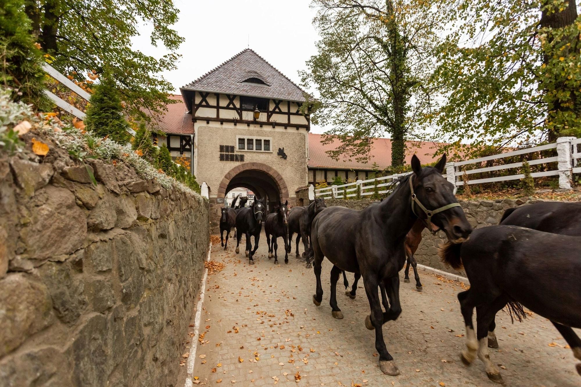 Instalaciones Recreativas Hotel Książ