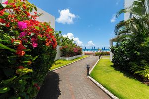 Paquete - La Vista Hotel