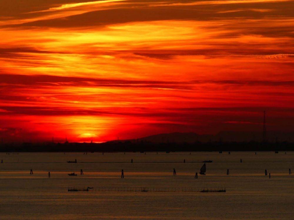 Hotel Hotel Villa Delle Palme