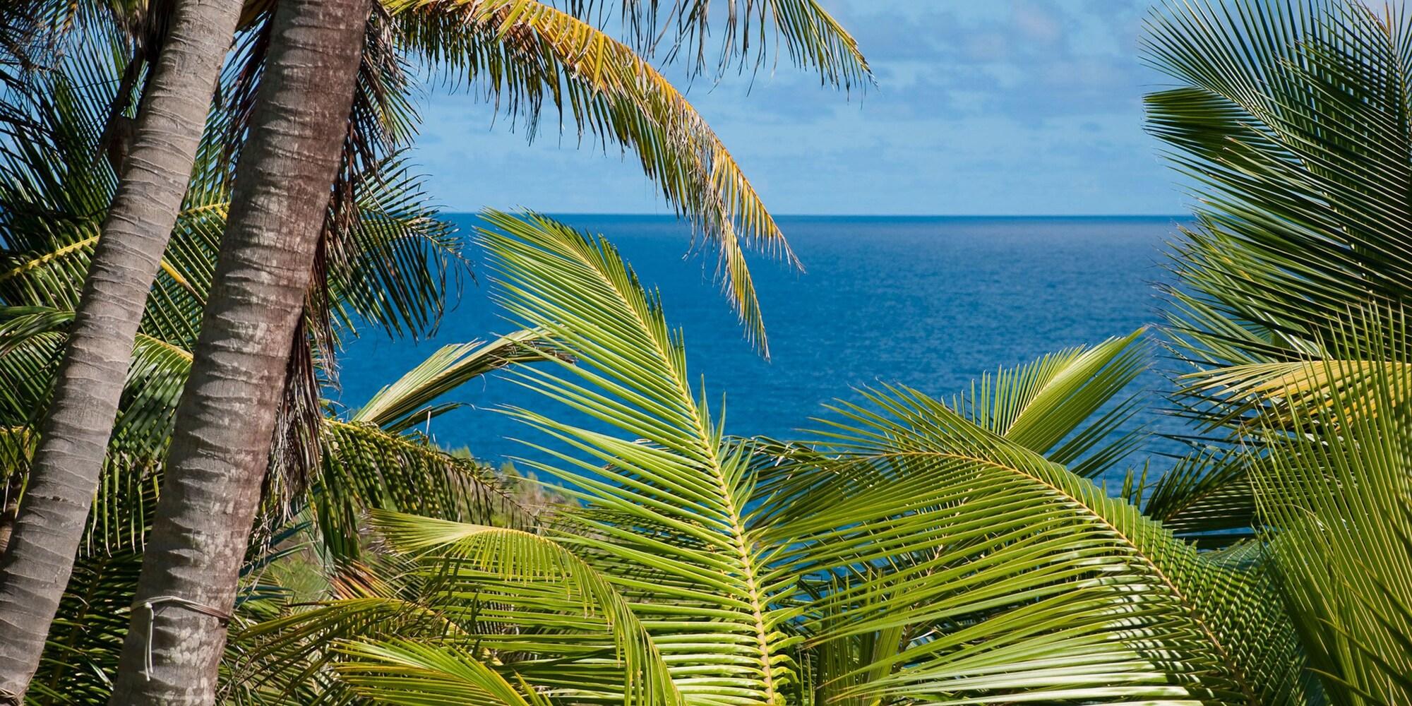 Playa ECO Lifestyle & Lodge