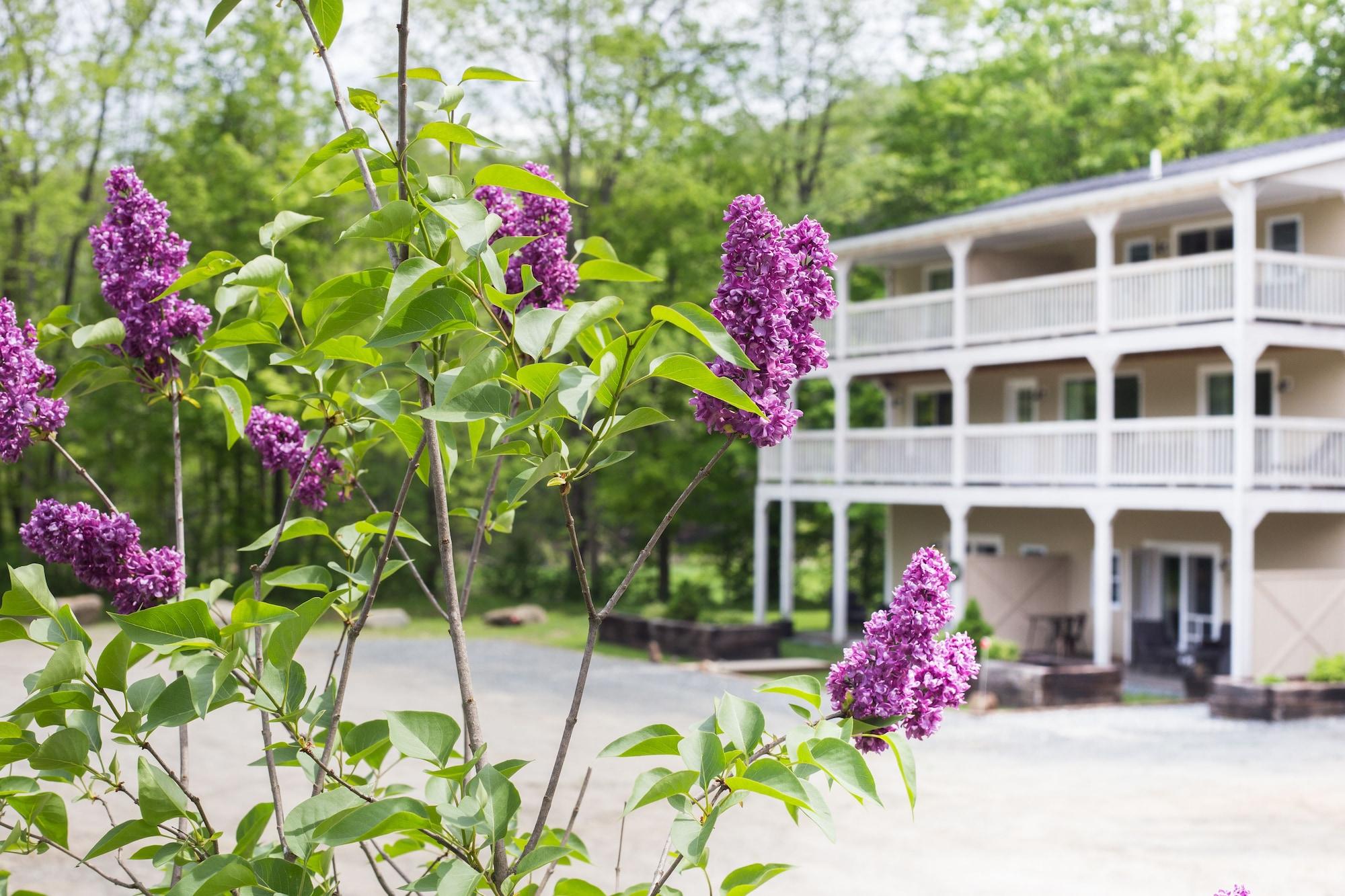 Vista Exterior On The River Inn