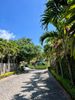 Mama Chuy Hotel Villas