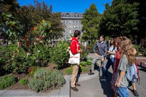Passeio - Comida e História de Boston: North End, Freedom Trail, Beacon Hill