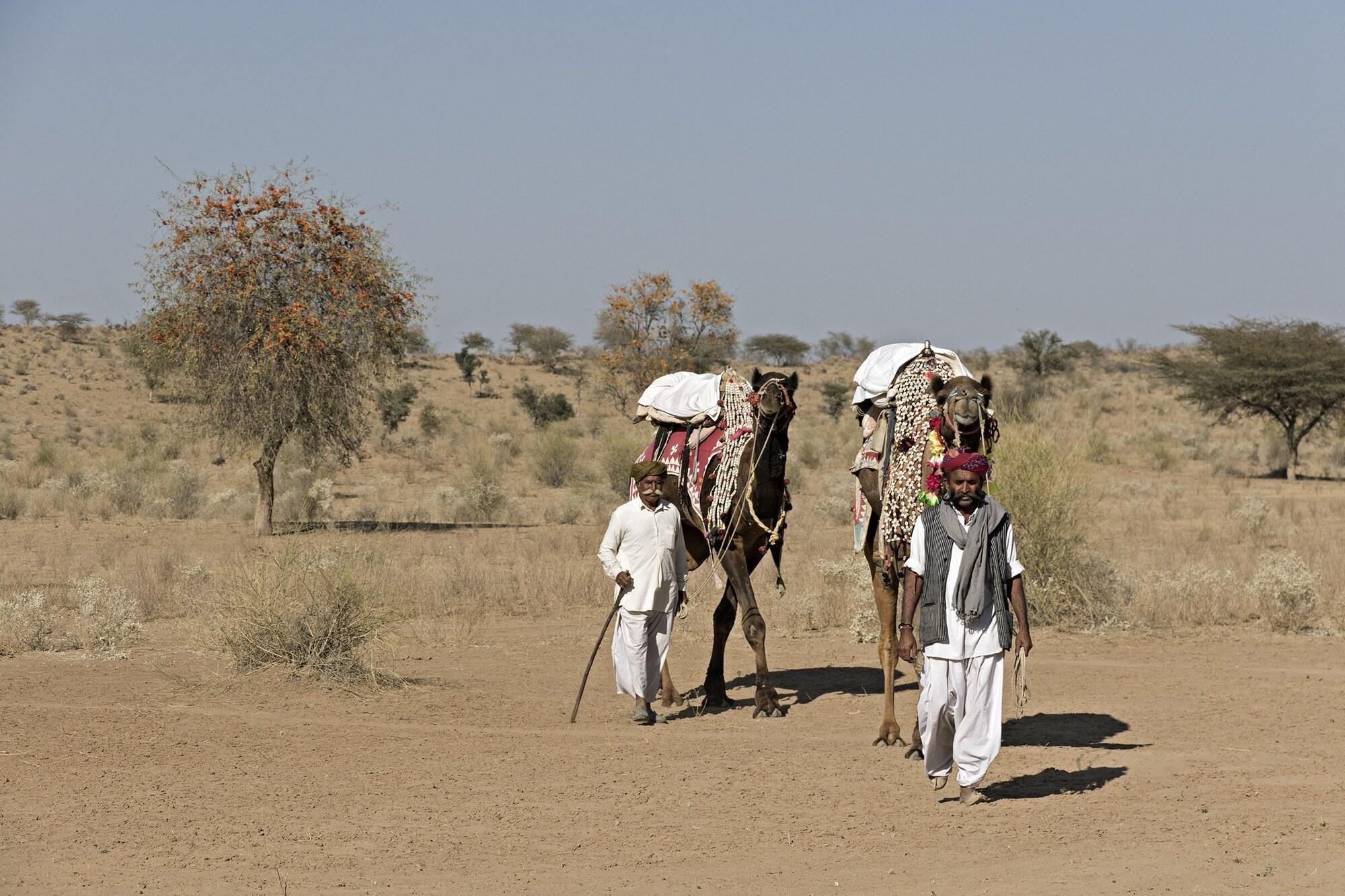 Instalaciones Recreativas MANVĀR Kumat Thar Serenity Camp