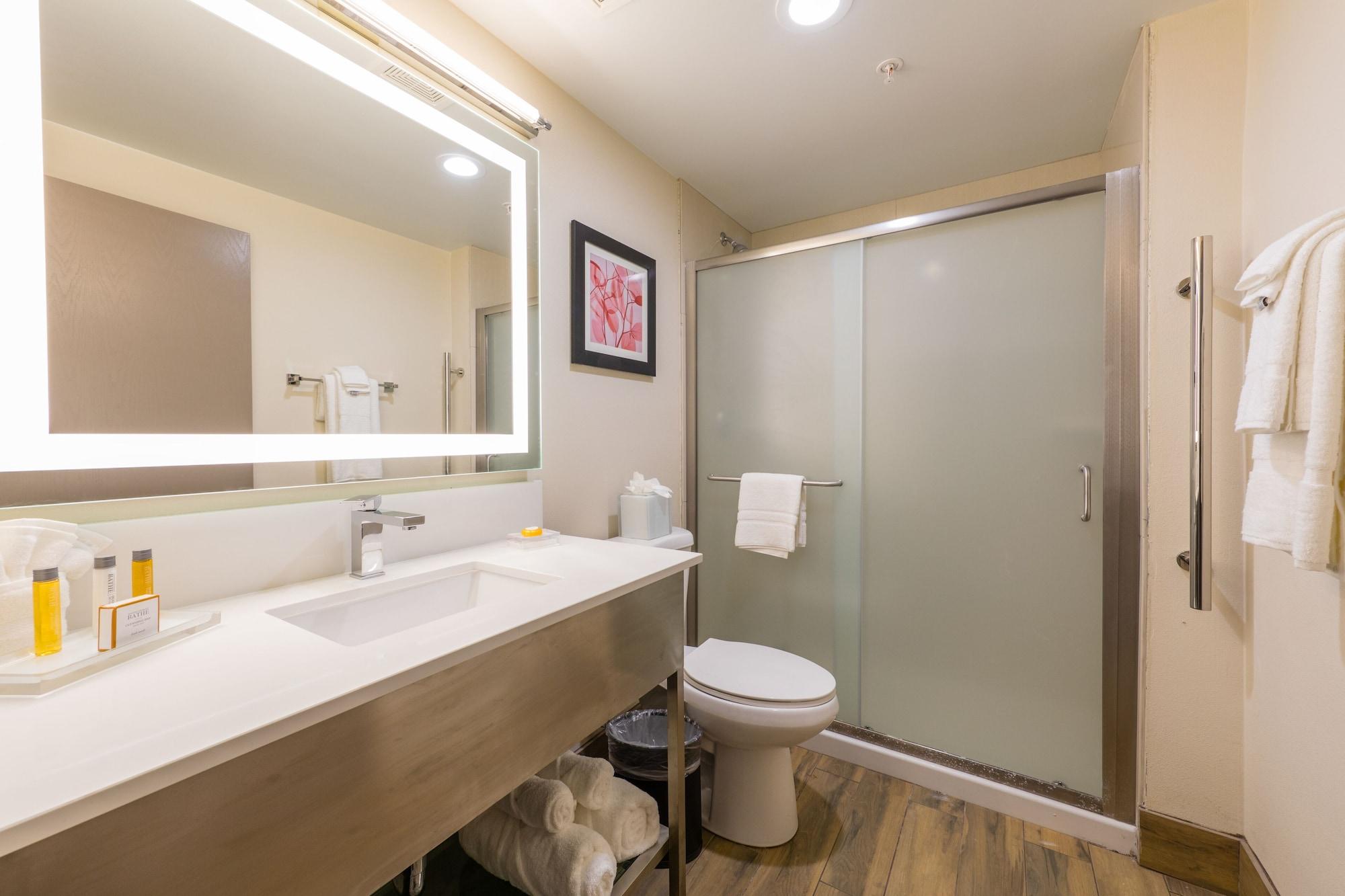 Equipamiento de Habitación Holiday Inn Milwaukee Brookfield by IHG