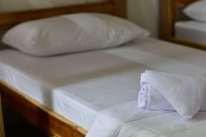 Alojamiento - Hostal La Bodeguita Del  Mundo Laureles