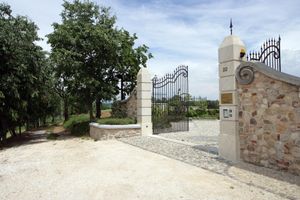 Alojamiento - Agriturismo Macesina