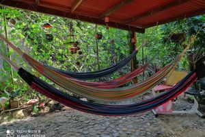 Alquiler Vacacional - SELVA MARIA TAYRONA