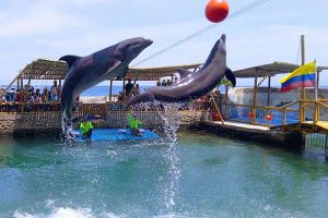 Actividad - Tour Santa Marta y Barraquilla desde Cartagena