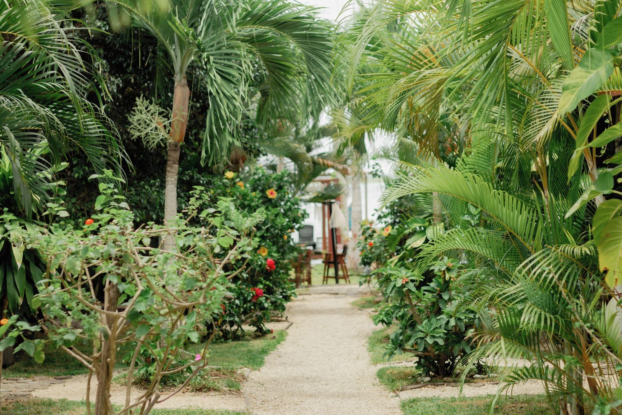 Varios Blue Bird Hotel Boutique