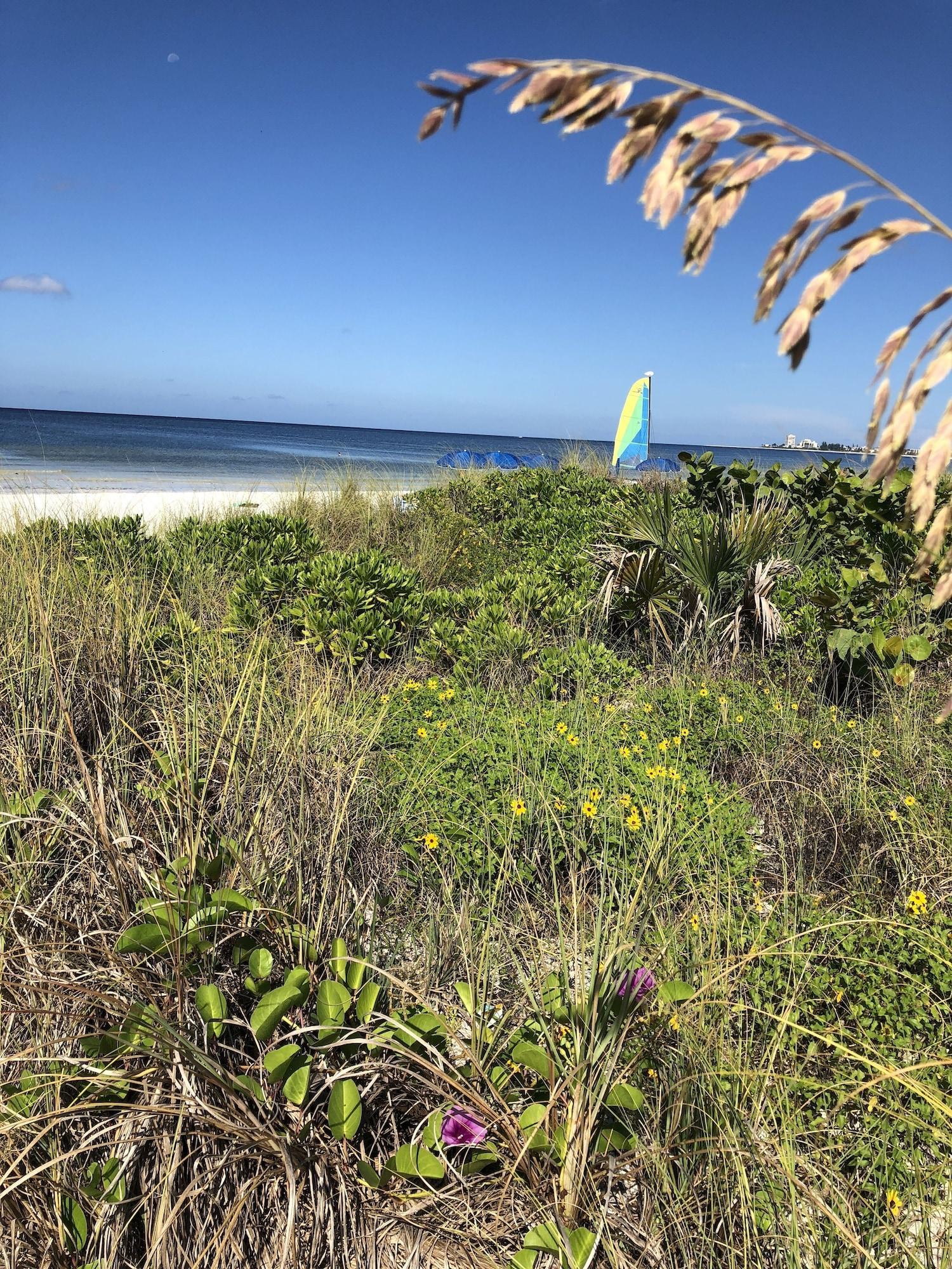 Instalaciones Recreativas Siesta Palms By the Beach