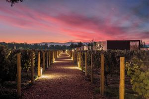 Alojamiento - Vibo Wine Lodge