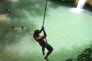 Actividad - Excursión de día completo a Black River y YS Falls