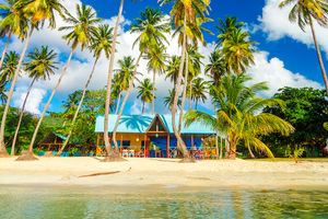 Paquete - Paquete a San Andrés