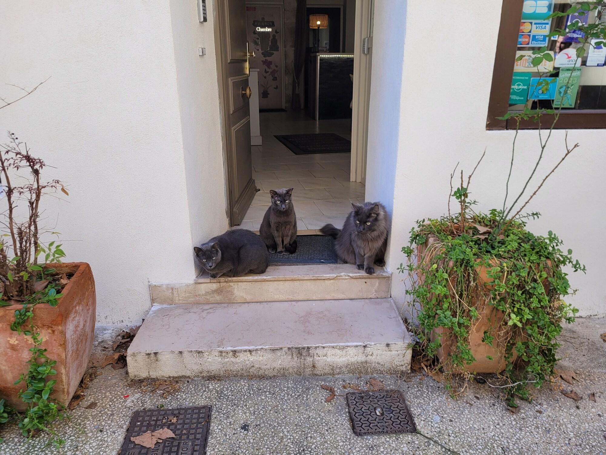 Vista Lobby Hôtel Boquier