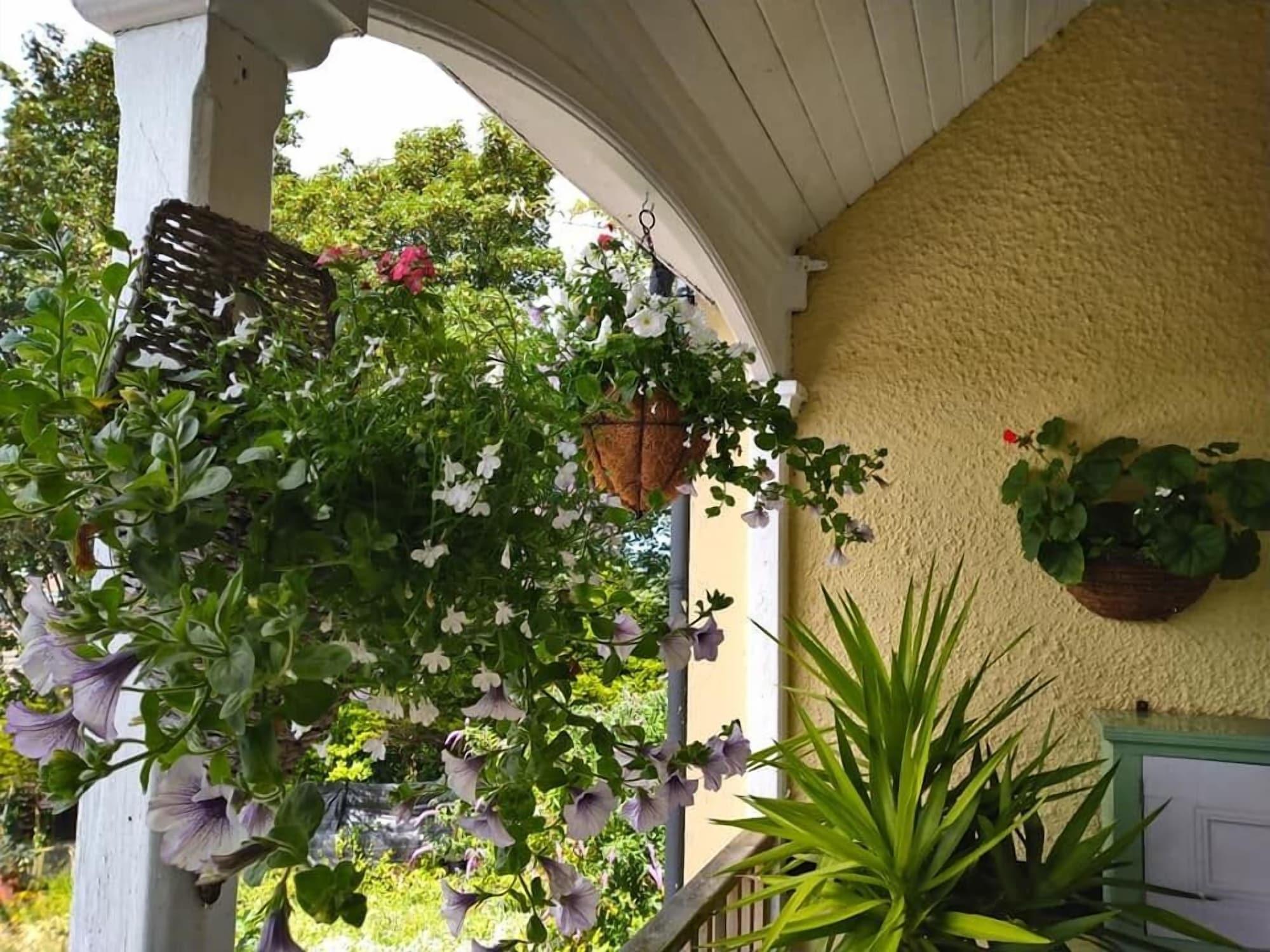 Equipamiento de Habitación Owl House