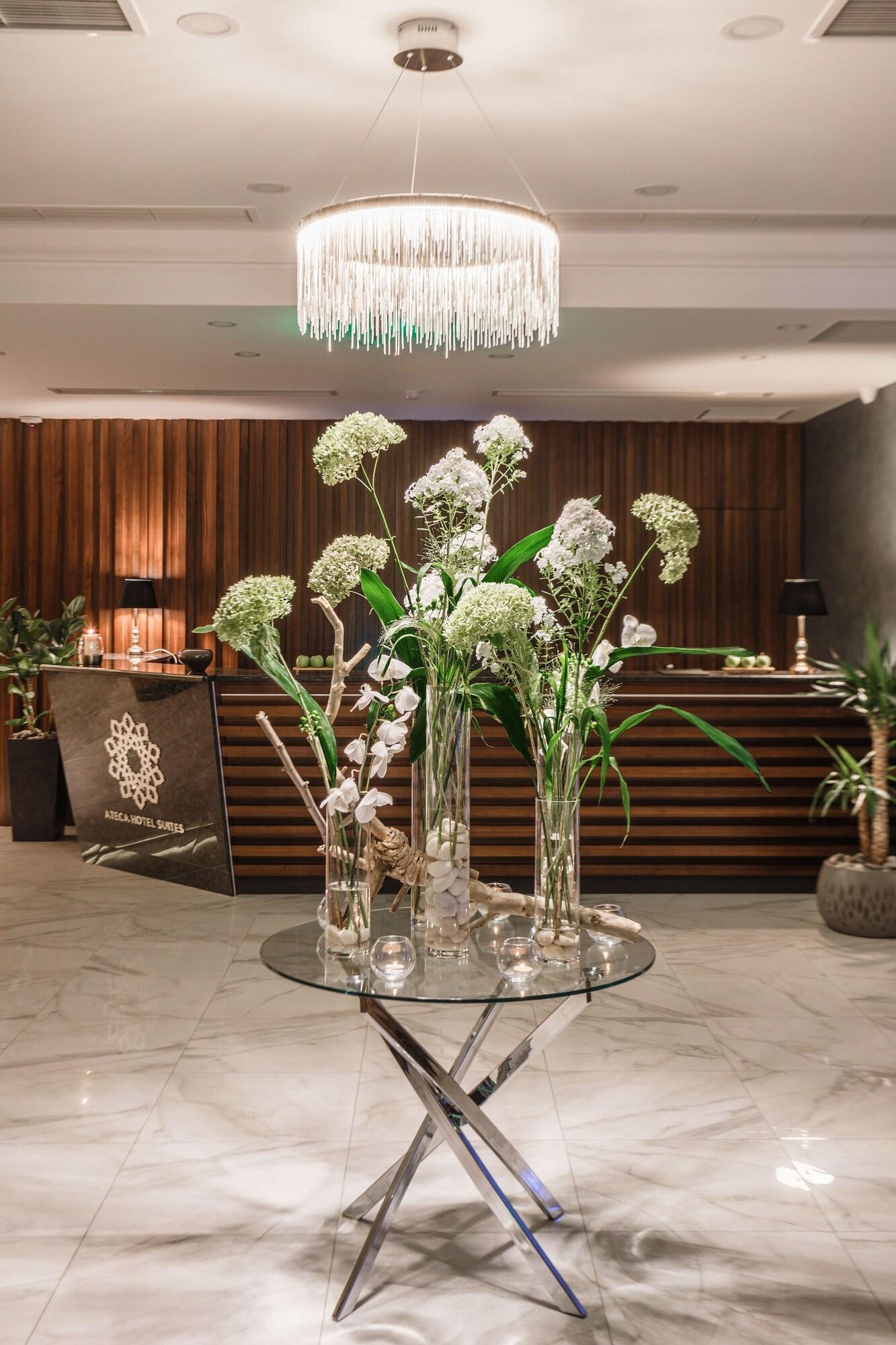 Vista Lobby ATECA HOTEL SUITES
