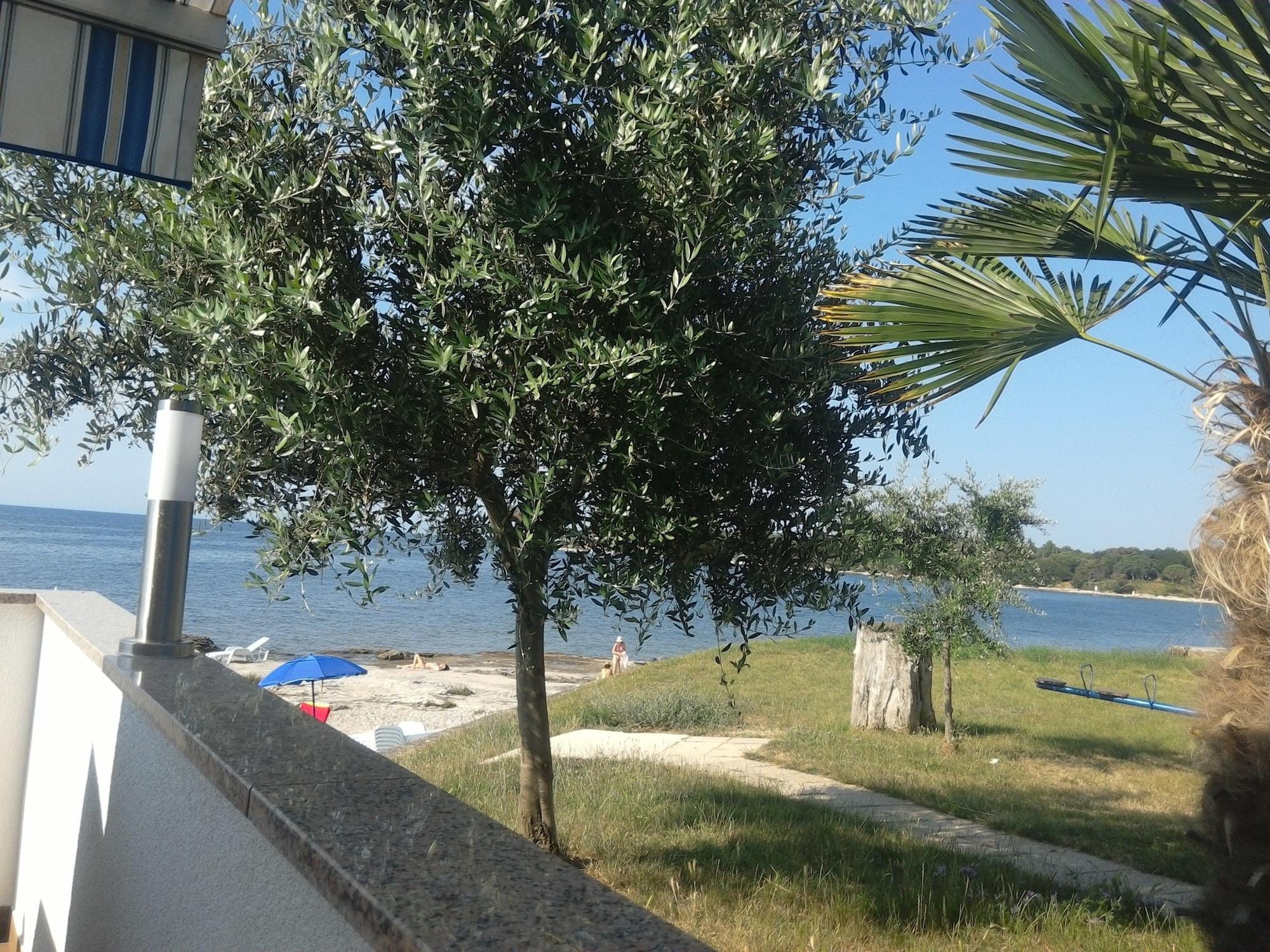 Playa Apartments Ivas