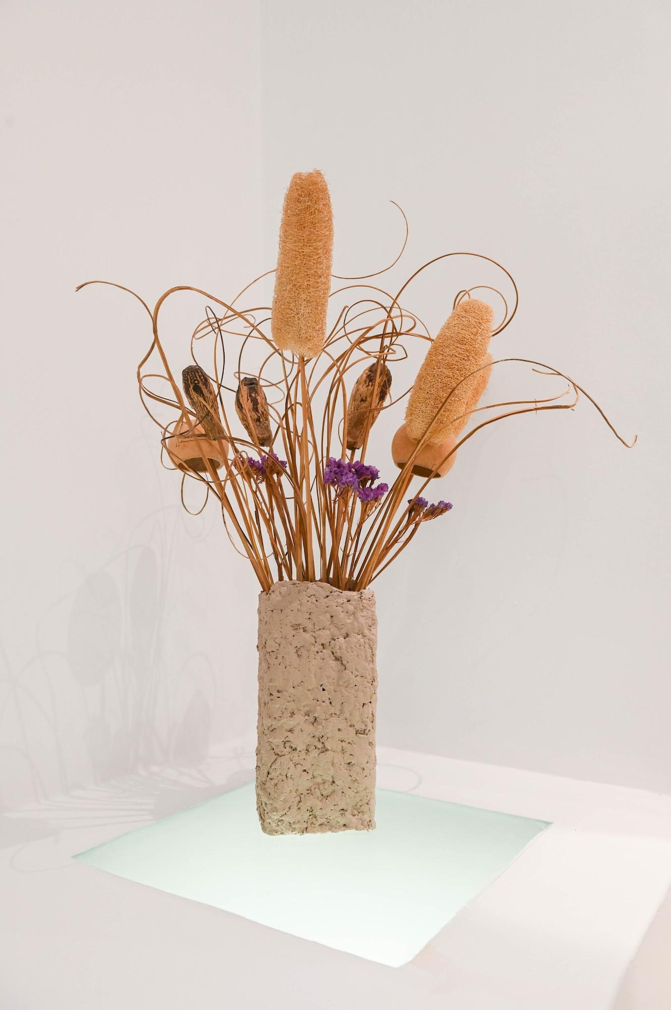 Vista Lobby Amerisa Suites & Villa