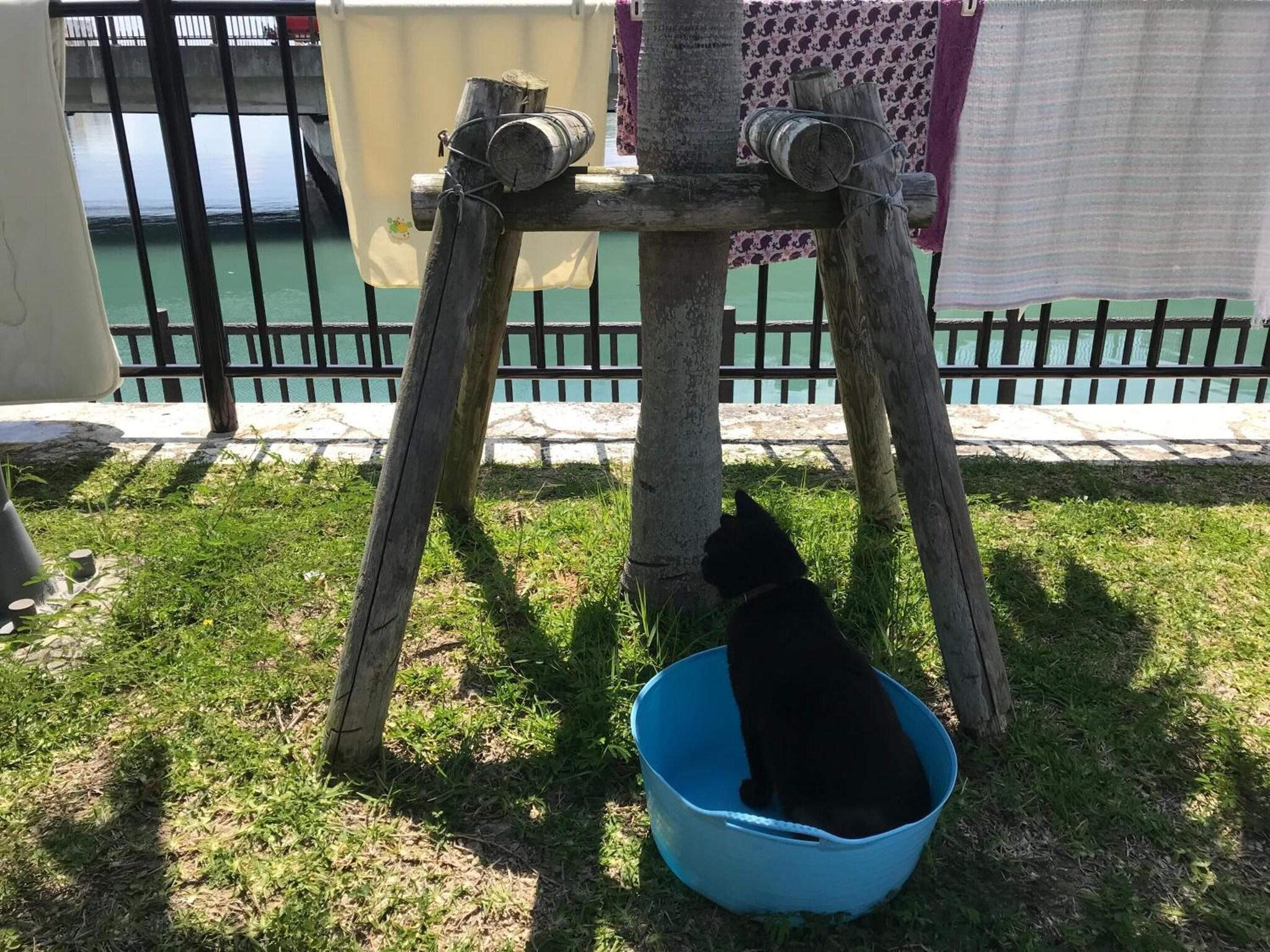 Instalaciones Recreativas Guest House Agaihama