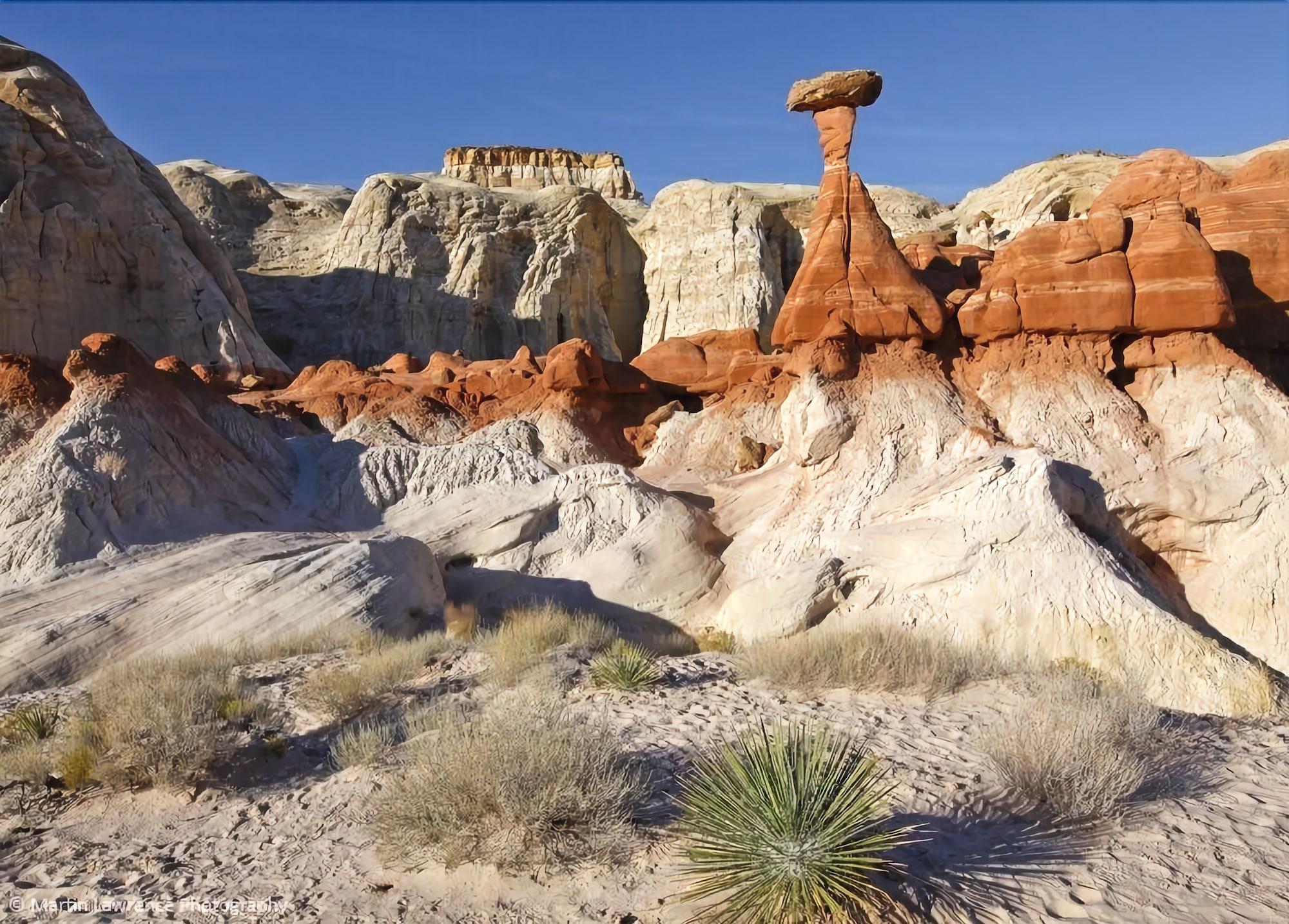 Vista Exterior Dreamkatchers Lake Powell Bed & Breakfast