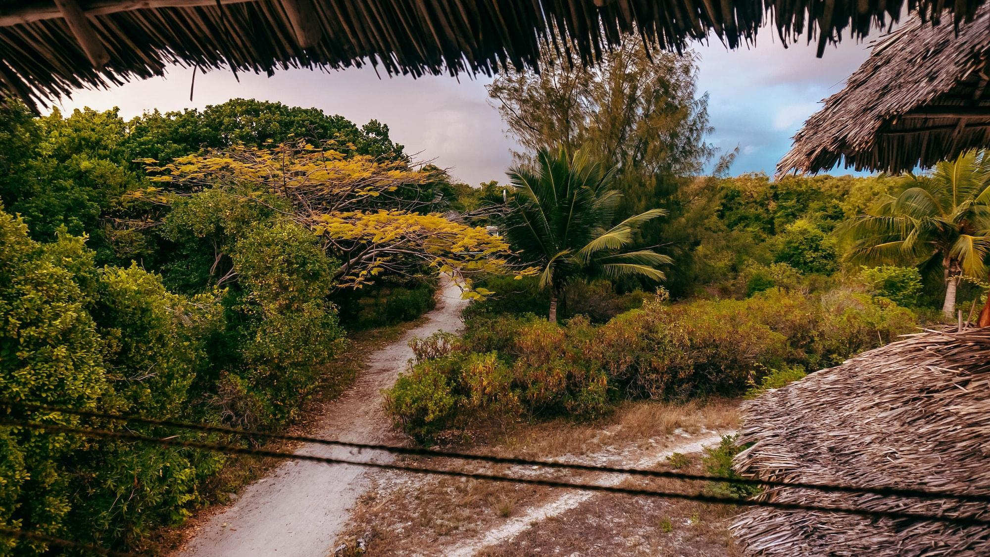 Vista Exterior Pemba Eco Lodge