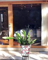 Alquiler Vacacional - Casa Bachajon