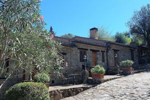 Renta temporal - Fattoria il Milione Agriturismo