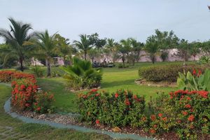 Alojamiento - Pink Palace Panama