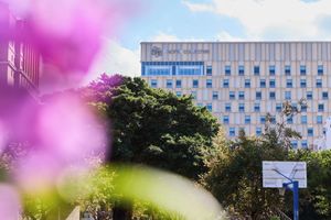 Alojamiento - Hotel Collective