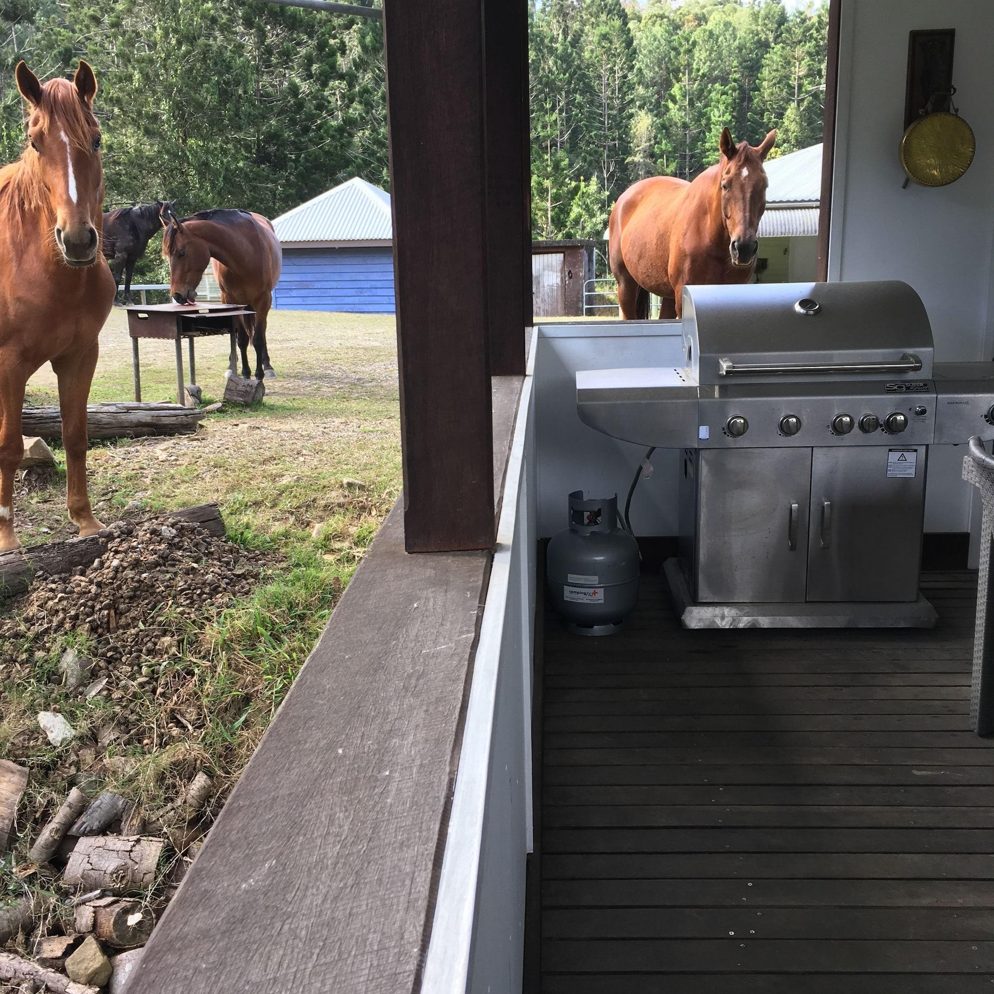 Restaurant Ingleside Stud Farm