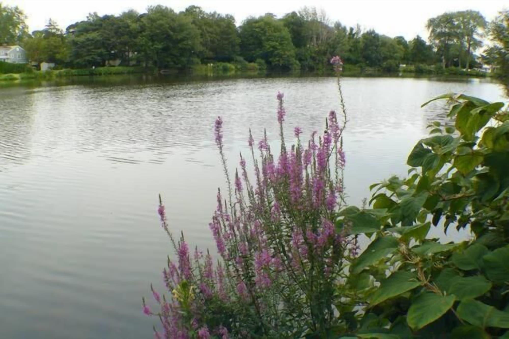 Varios Walden on the Pond Hotel