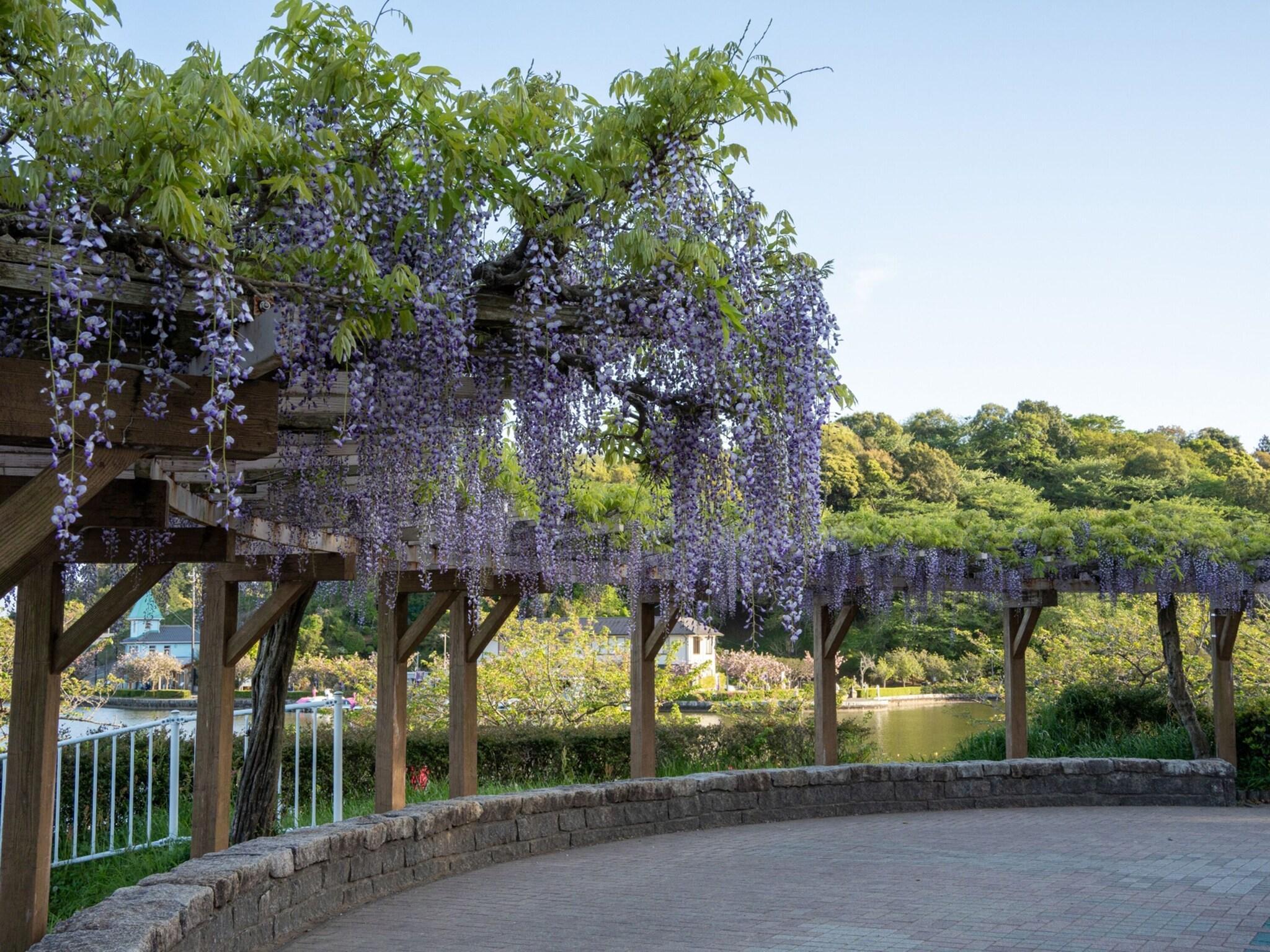Vista Exterior Toyoko Inn Shizuoka Fujieda Station Kita