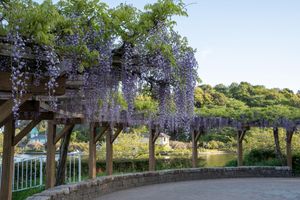Alojamiento - Toyoko Inn Shizuoka Fujieda Station Kita