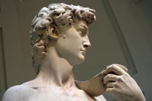 Actividad - Entrada a la Galería Accademia con acceso directo