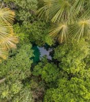 Alojamiento - JARDIM DA AMAZONIA LODGE