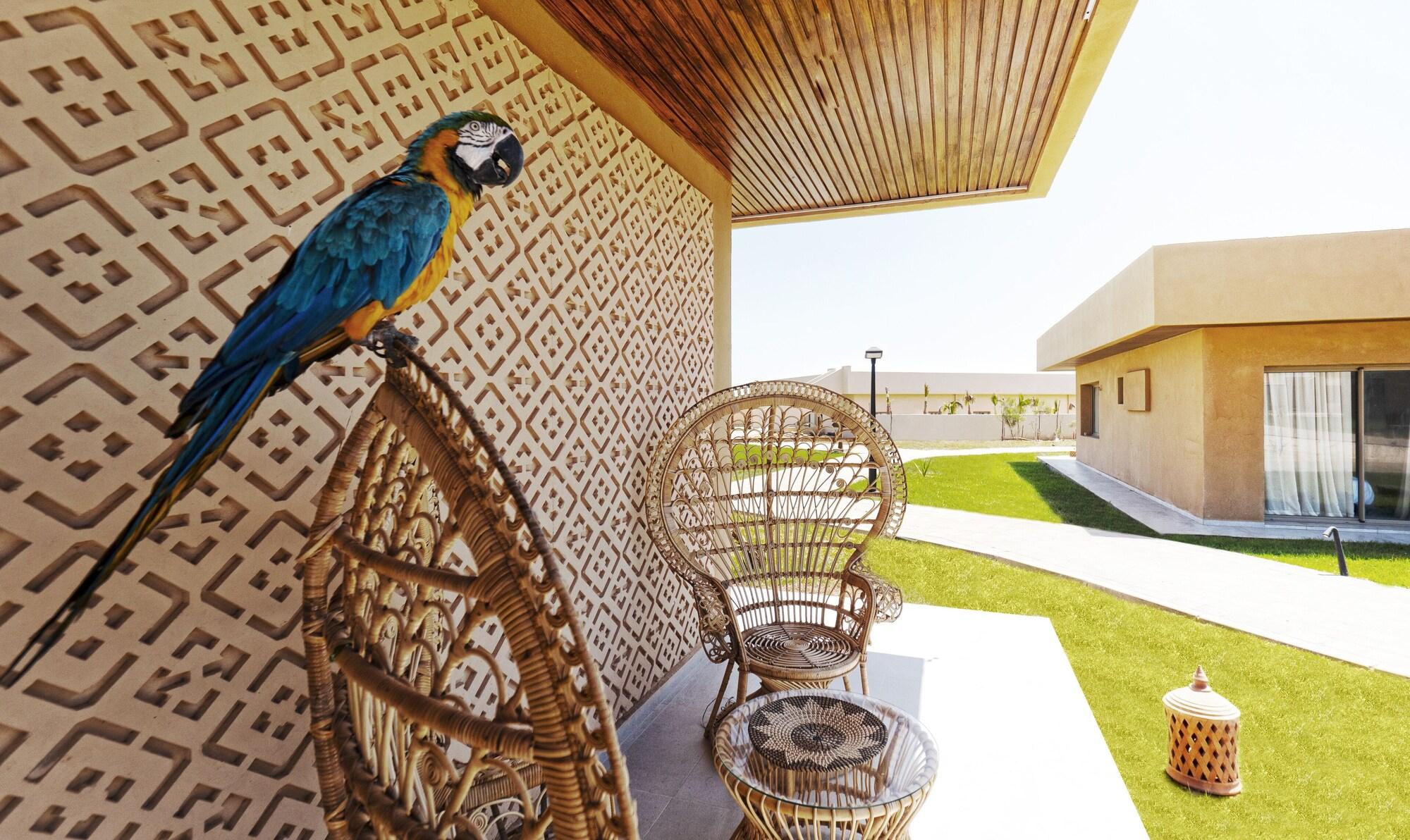 Vista Exterior Tulum Beach Resort Dakhla