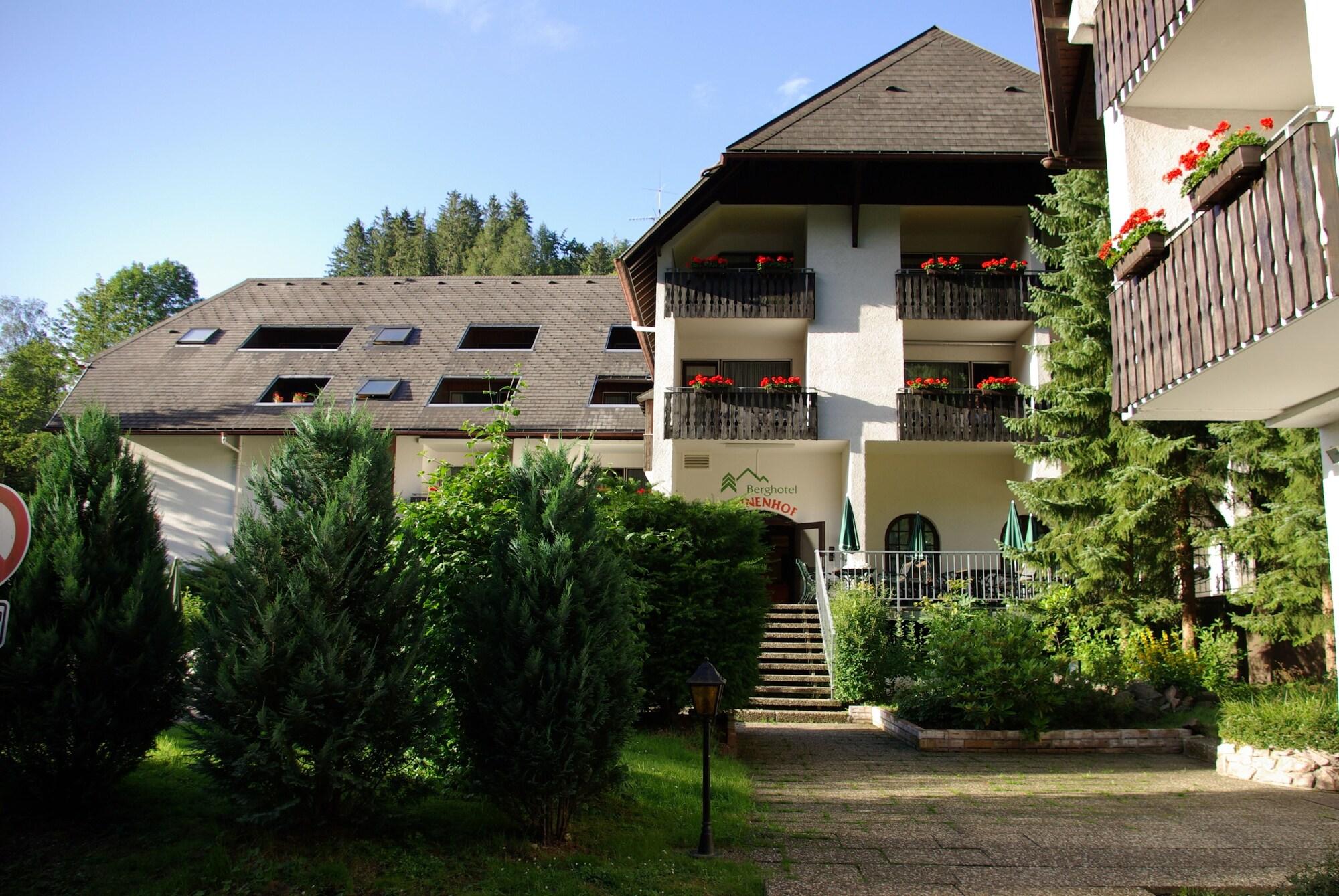 Vista Exterior Berghotel Schwarzwaldblick Triberg
