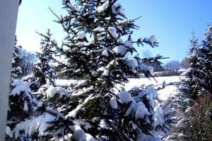 Alojamiento - Ferienhaus BLACK & WHITE