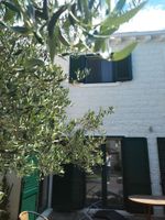 Alquiler Vacacional - Villa FraMar: Where Olive Trees Meet the Mediterranean