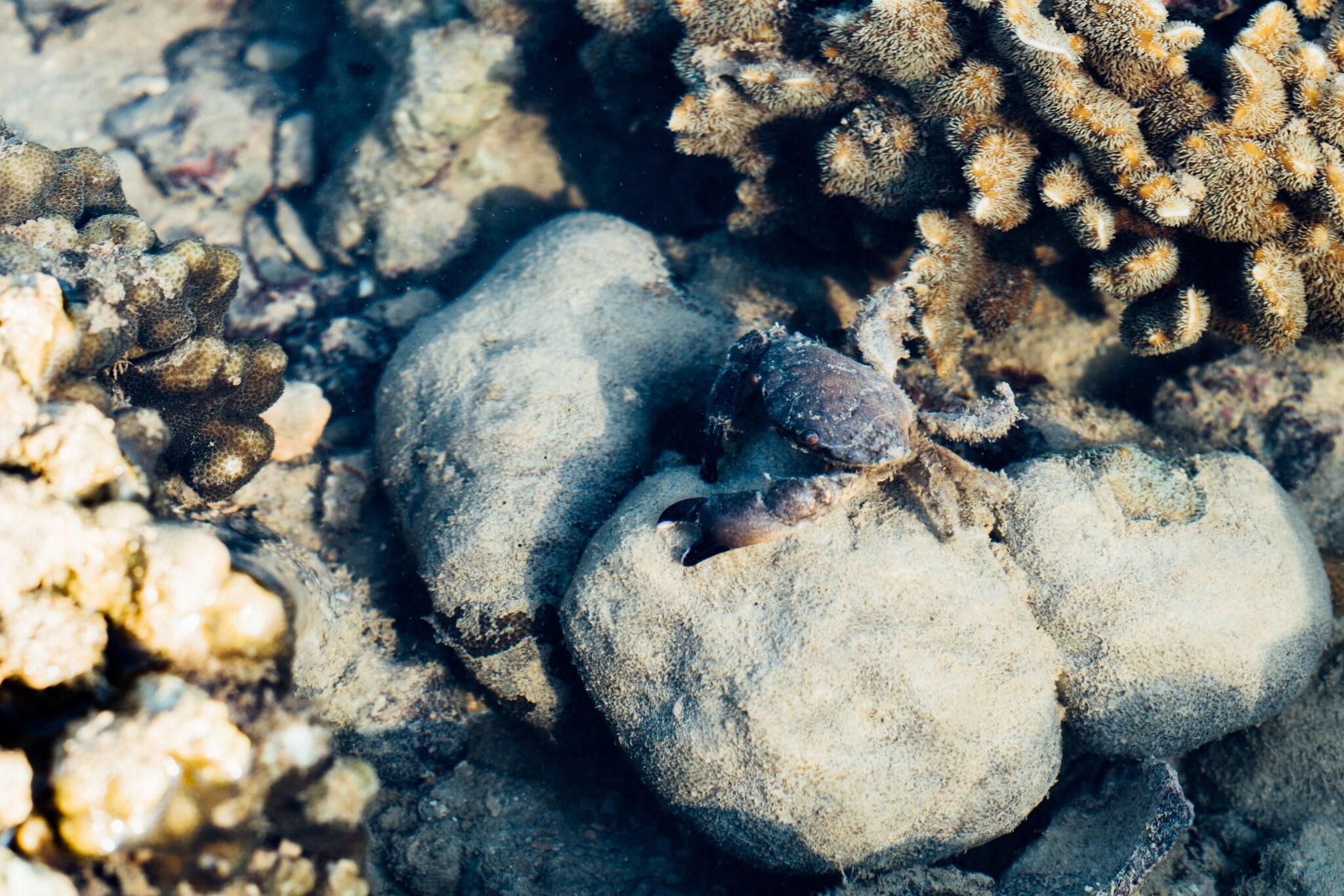 Playa Railay Garden View Resort