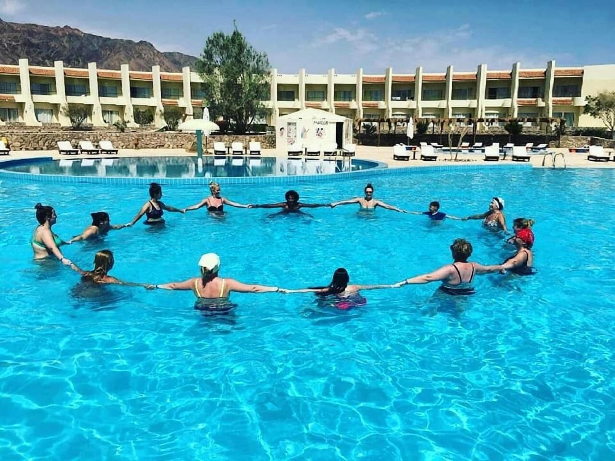 Vista Piscina Dessole Holiday Taba