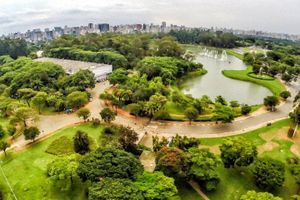 Actividad - Tour privado de las principales atracciones turísticas de São Paulo: 8 horas (recogida en la ciudad de Santos)