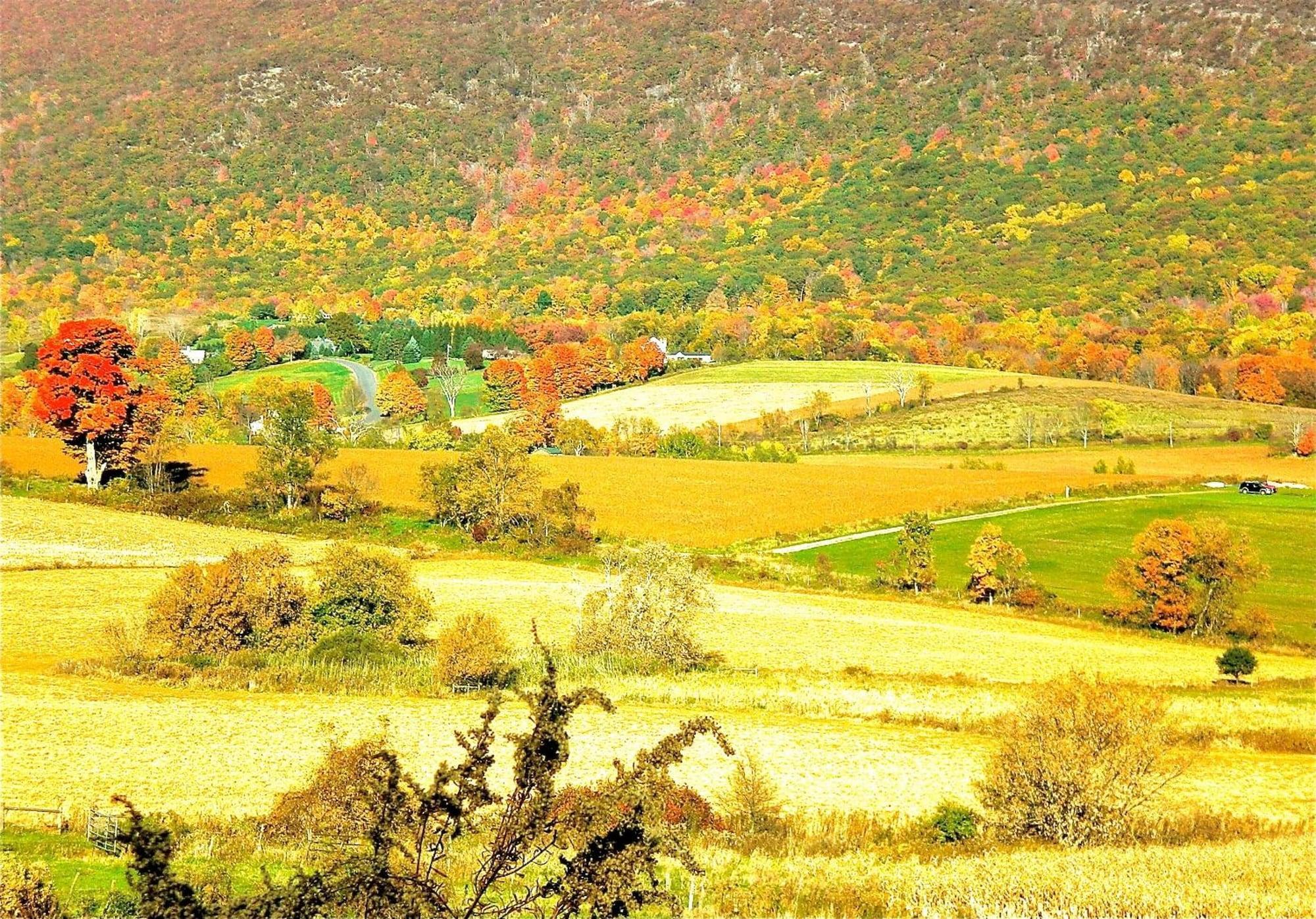 Comodidades del Alojamiento Whistler's Inn Bed & Breakfast
