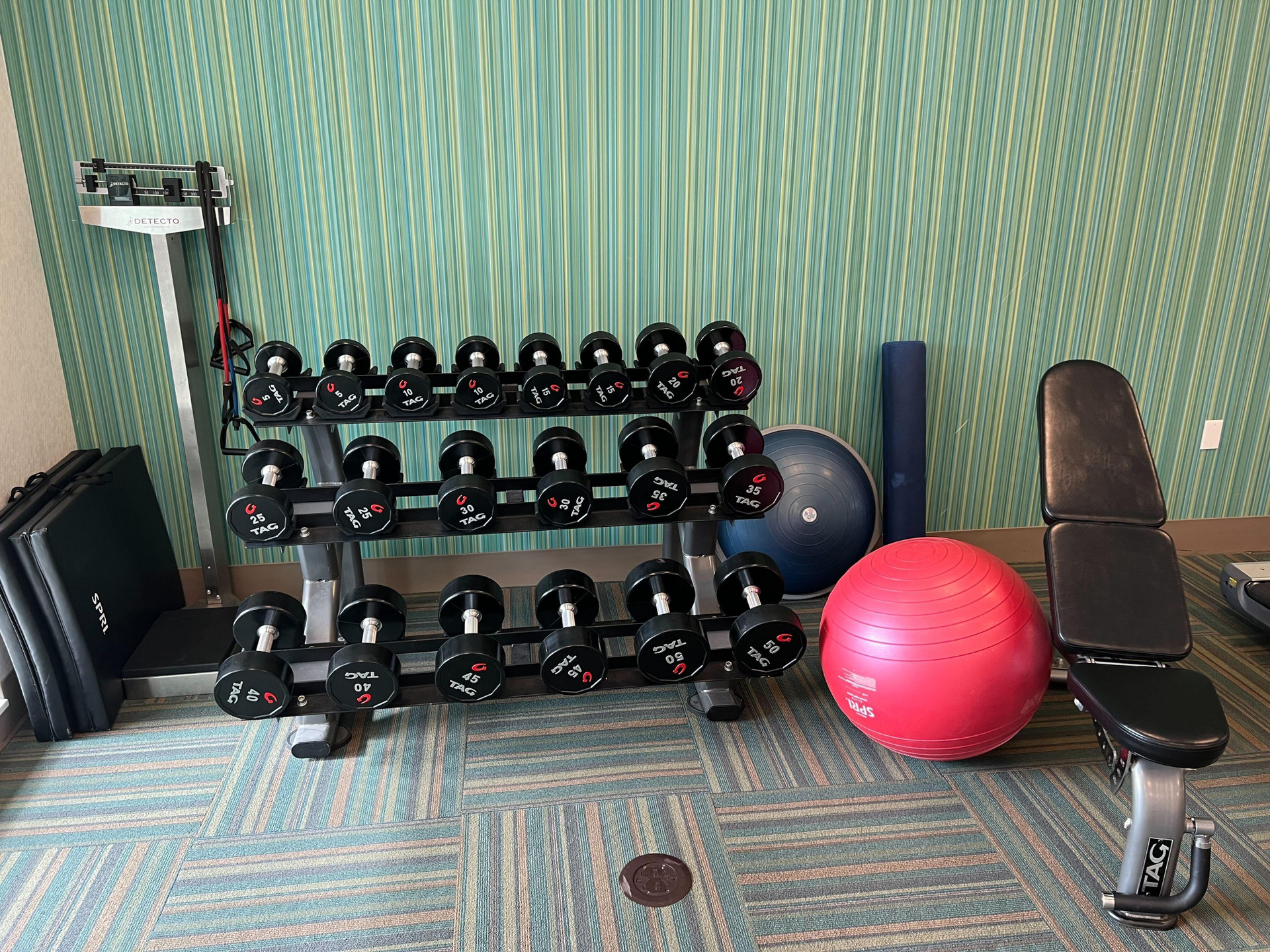 Instalaciones Recreativas Holiday Inn Express & Suites Detroit Northwest - Livonia by IHG